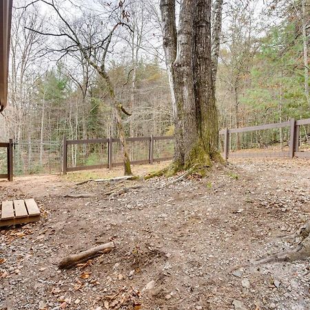 Peaceful Warne Cabin Fenced Yard And Screened Porch Brasstown Exteriér fotografie