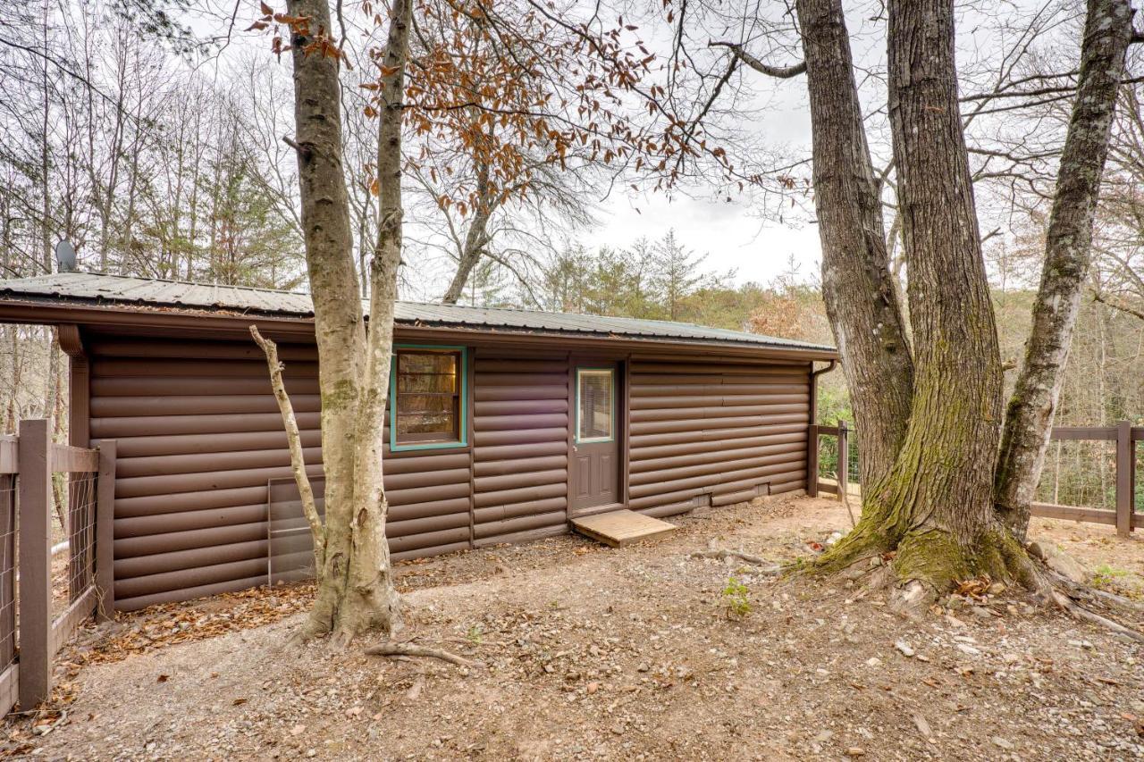 Peaceful Warne Cabin Fenced Yard And Screened Porch Brasstown Exteriér fotografie