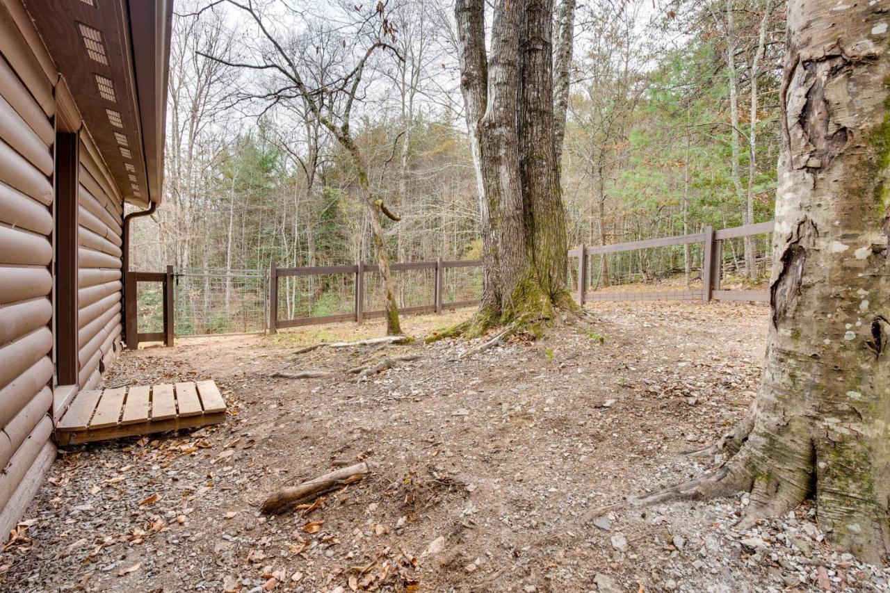 Peaceful Warne Cabin Fenced Yard And Screened Porch Brasstown Exteriér fotografie